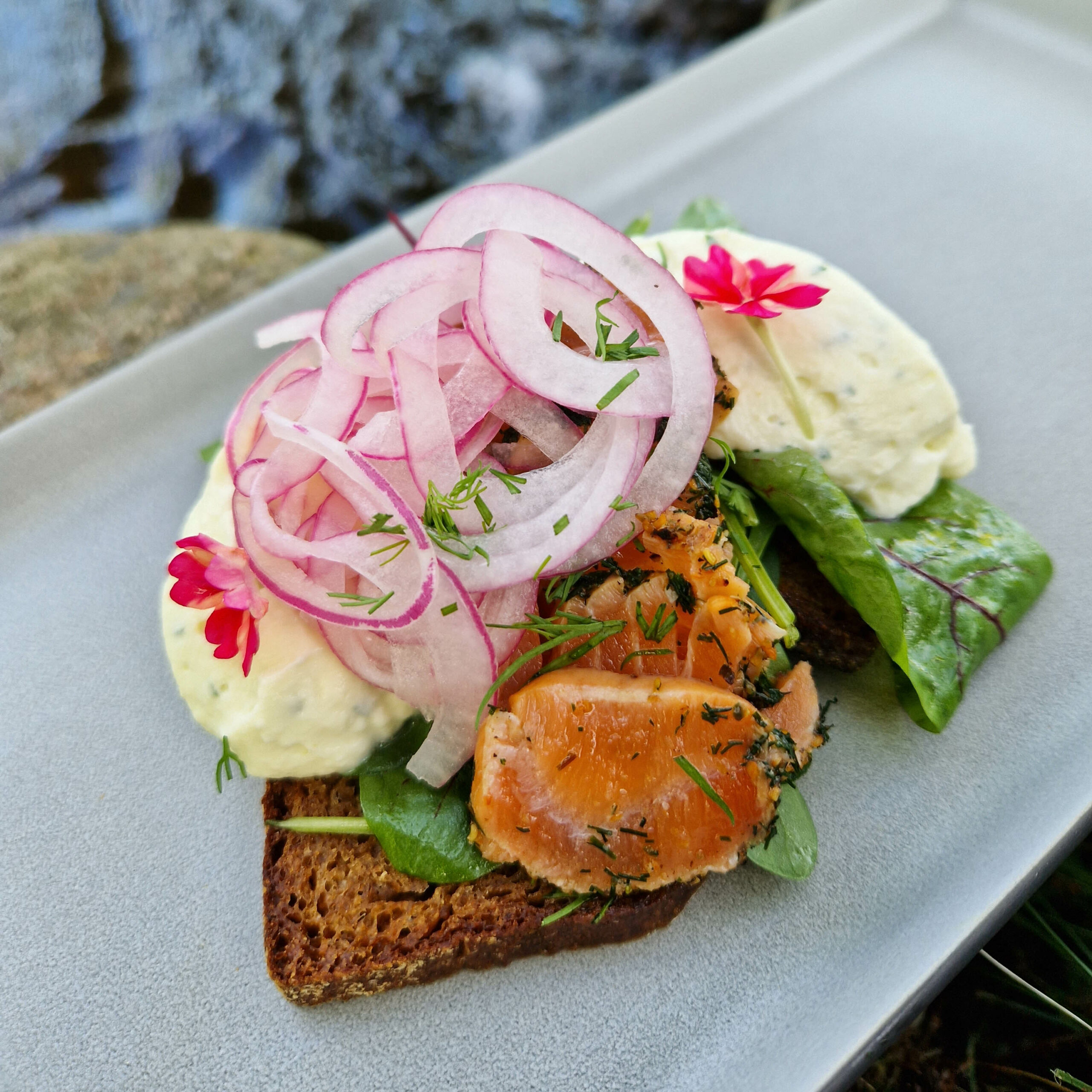 Charming Salmon pastrami sandwich