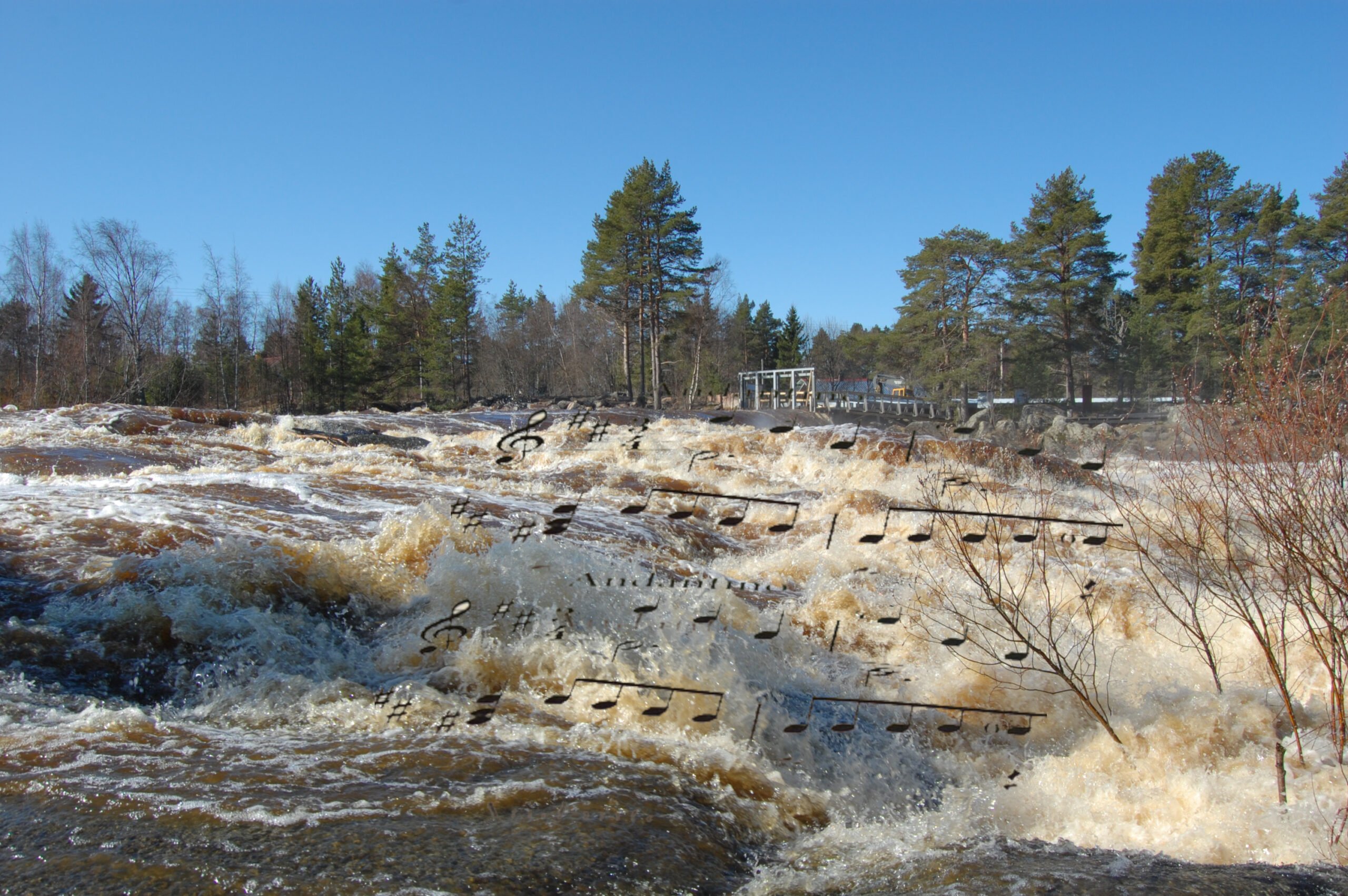 Kuva: Tiina Tiirola