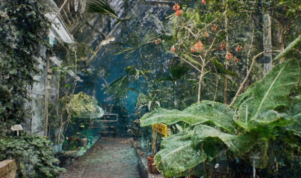 Lush green indoor garden with various exotic plants.