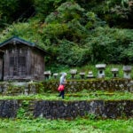 Photo: Antti Ylönen