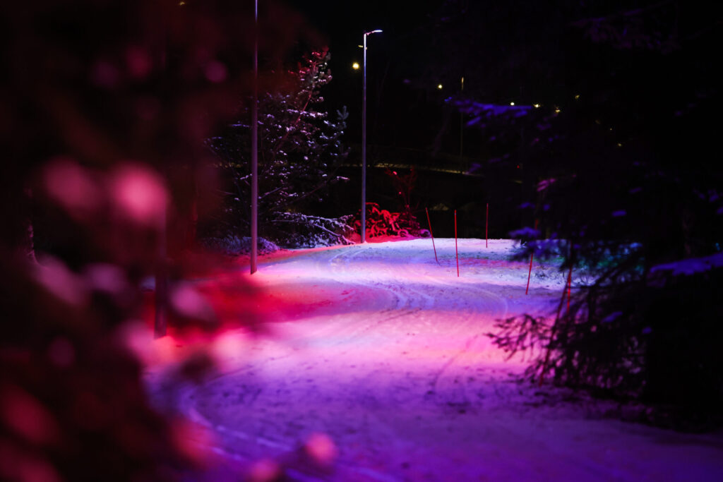 Environmental Art Park in Ii.