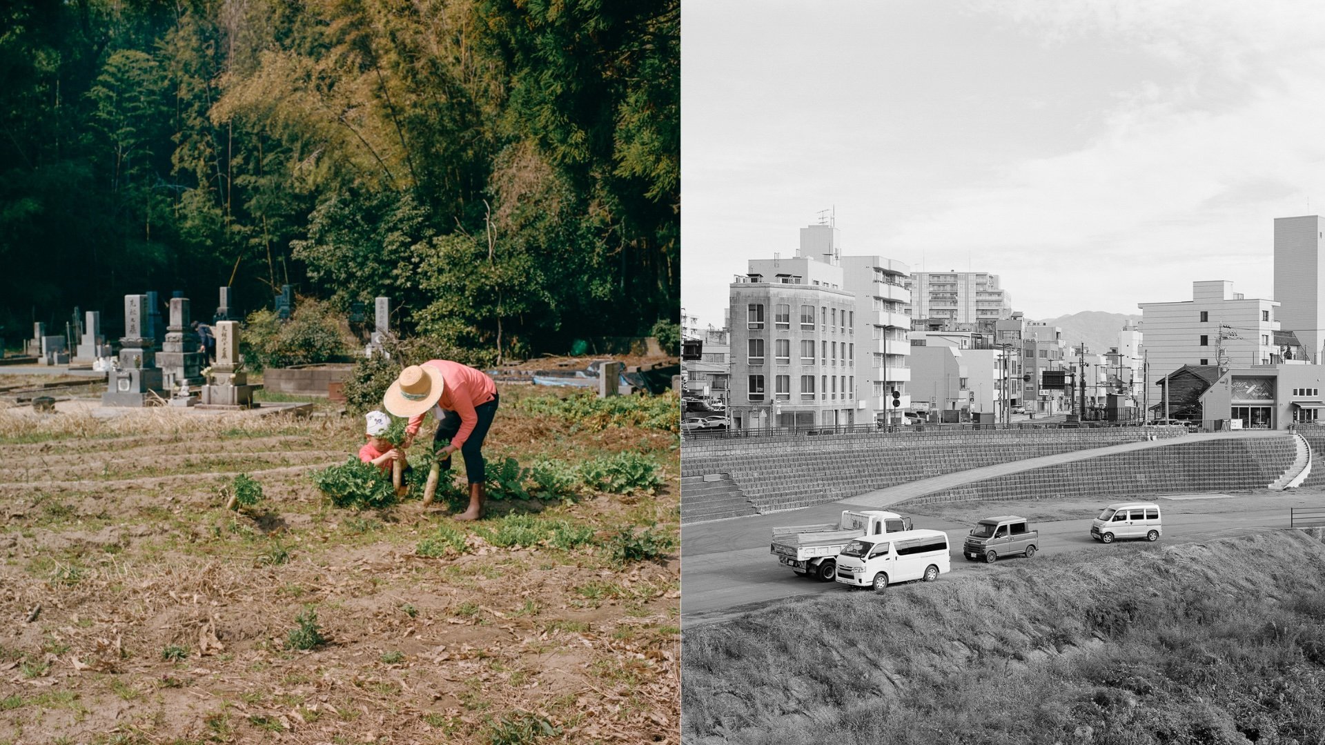 Photos from Fukui prefecture by Sanna Krook and Domina Jackuliaková