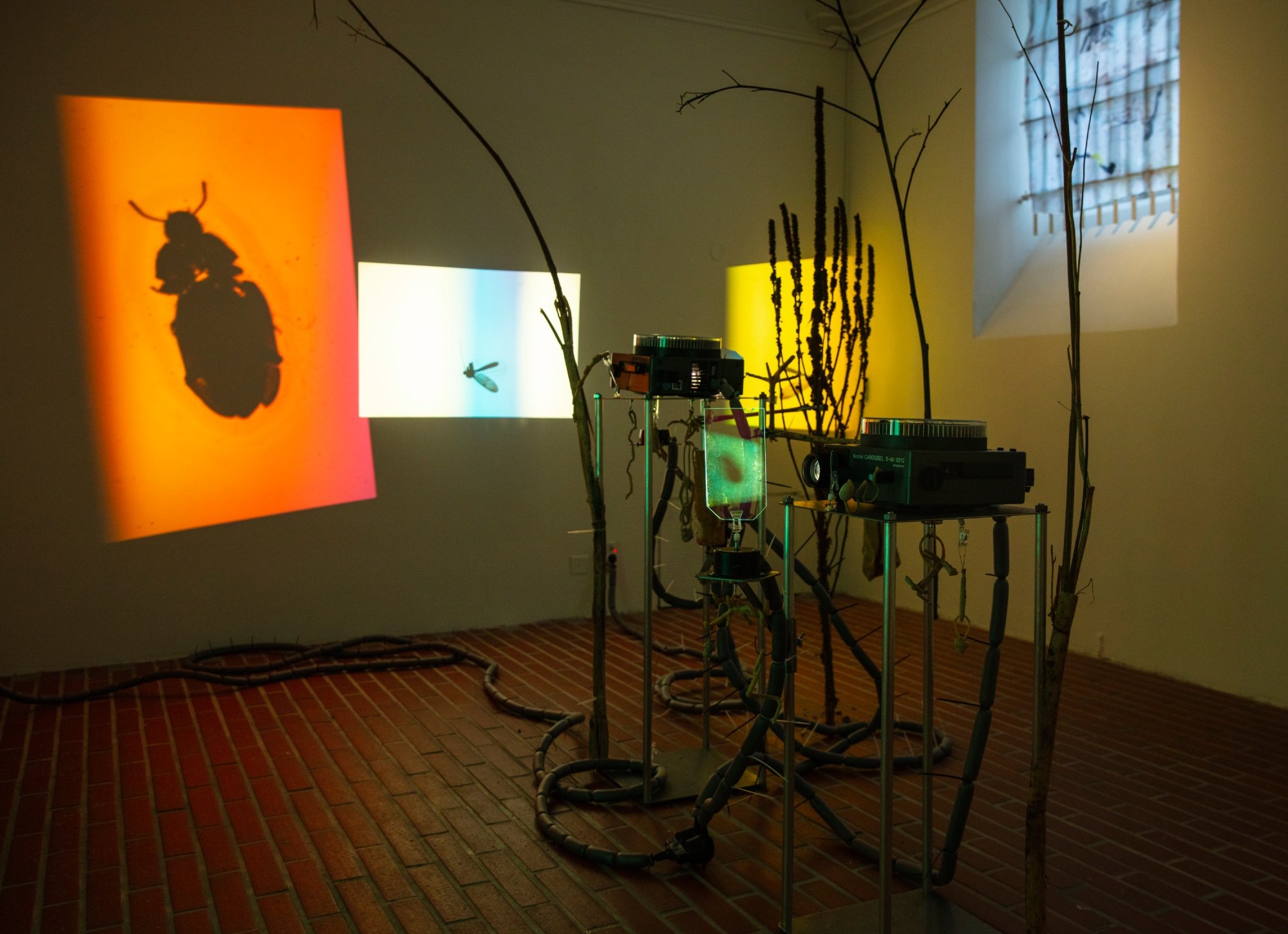 Taiteilijakollektiivi nabbteerin hauraat mutantit -näyttely on esillä Photo North – Pohjoisen valokuvakeskuksen galleriassa 26.4. saakka. Kuva: Kati Leinonen