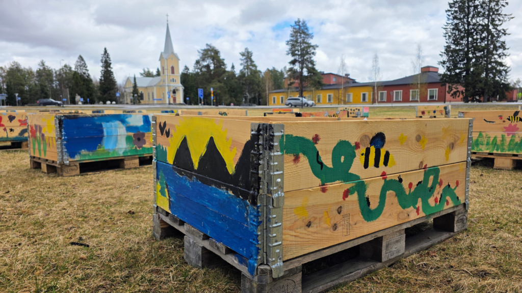 Alakoululaisten maalaamat istutuslaatikot piristävät Tyrnävän kuntakeskuksen katukuvaa Perunanistutuskarnevaalia odotellessaan. Tapahtuman jälkeen osa laatikoista siirretään kesän ajaksi ihastuttamaan muun muassa Tyrnävän kunnantalon ja kirjaston pihapiirejä. Kuva: Anni Paananen