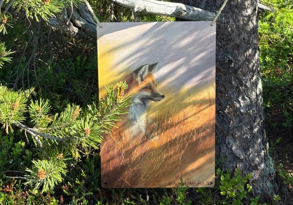 Katariina Kuukasjärven kettuteos Iso-Syötteen huipulla.